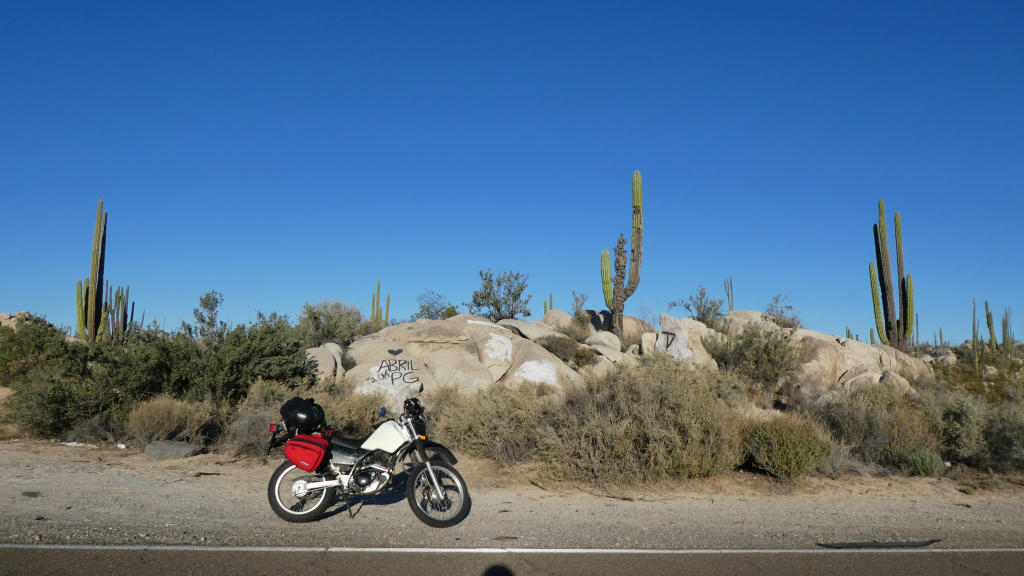Riding through a mindbogglingly amazing landscape consisting of HUGE cacti and HUGE boulders.